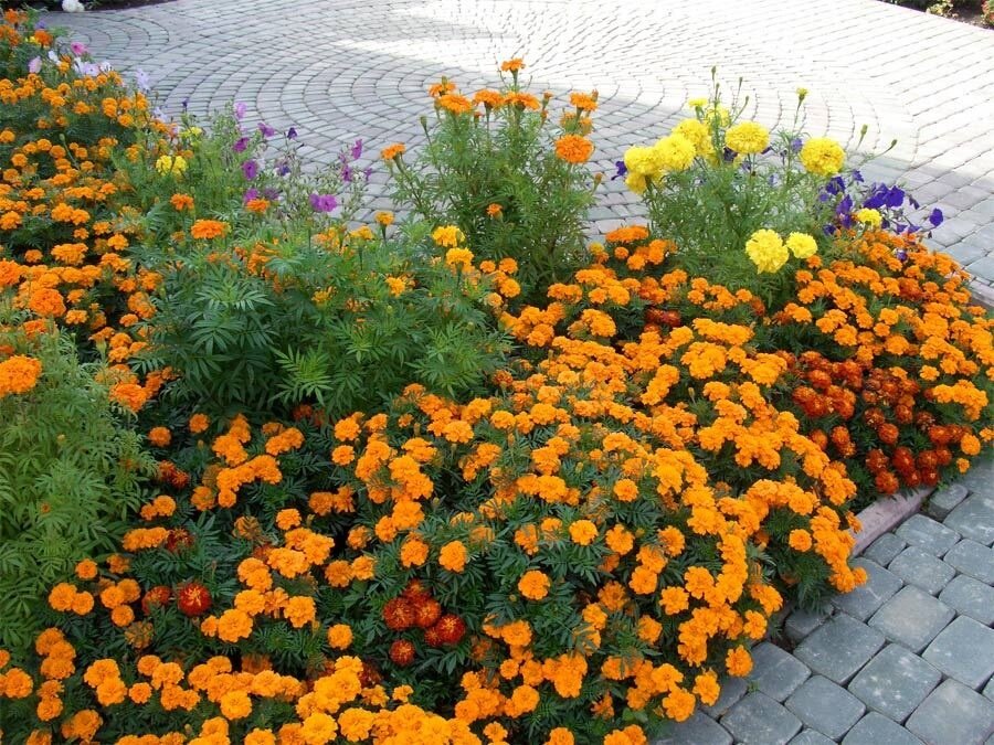 Гостиница Кремлёвский Суздаль-14